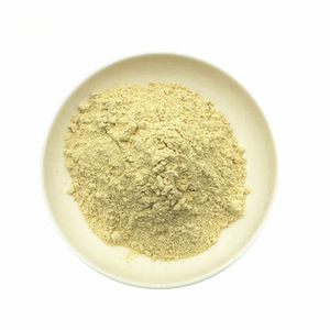 Amino Acid Powder( Plant Source）