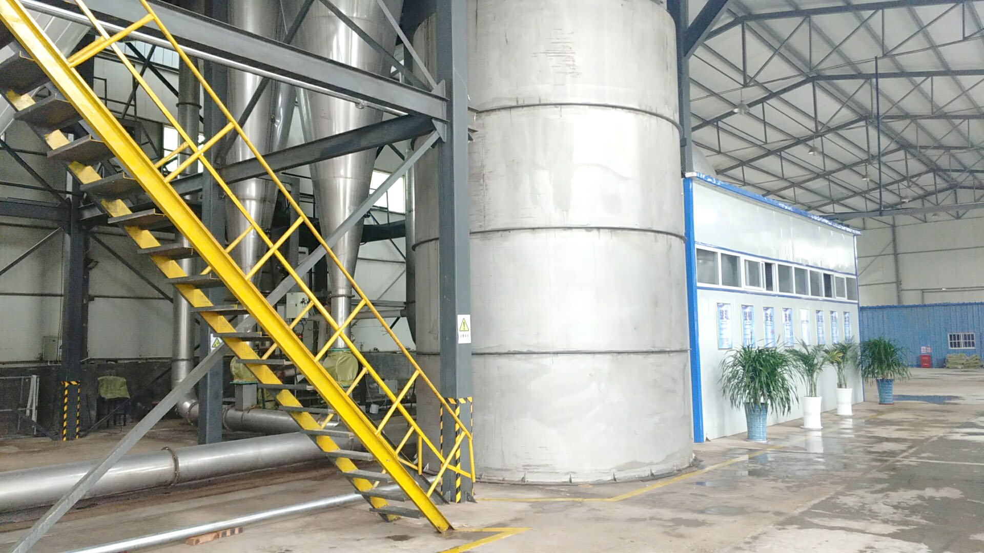 Corn Steep Powder